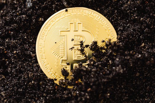 Climate Change & Crypto: The Future of Mining in a Warming World
