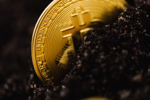 2024 Crypto Security Guide: Protecting Your Digital Assets from New Threats
